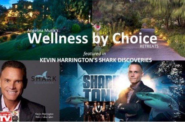 2022 Phoenix Wellness Expo